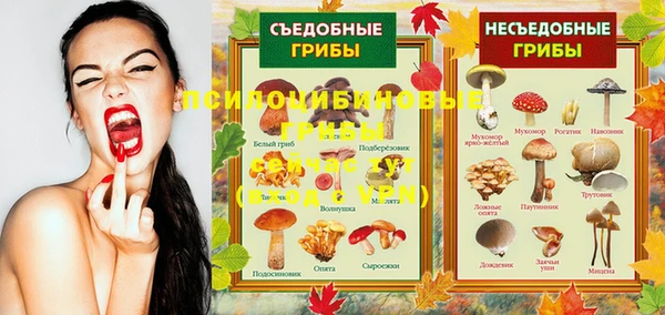 прущий лед Осинники