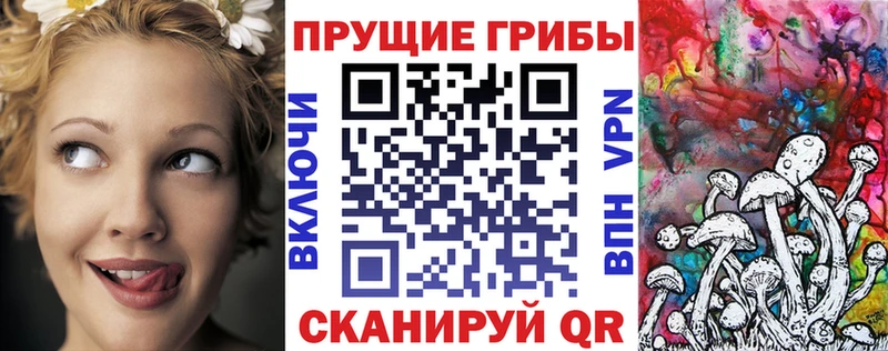 omg ССЫЛКА  Новая Усмань  Псилоцибиновые грибы прущие грибы 